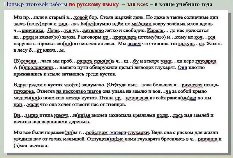 Пример контрольной работы по русскому языку для 7 класса